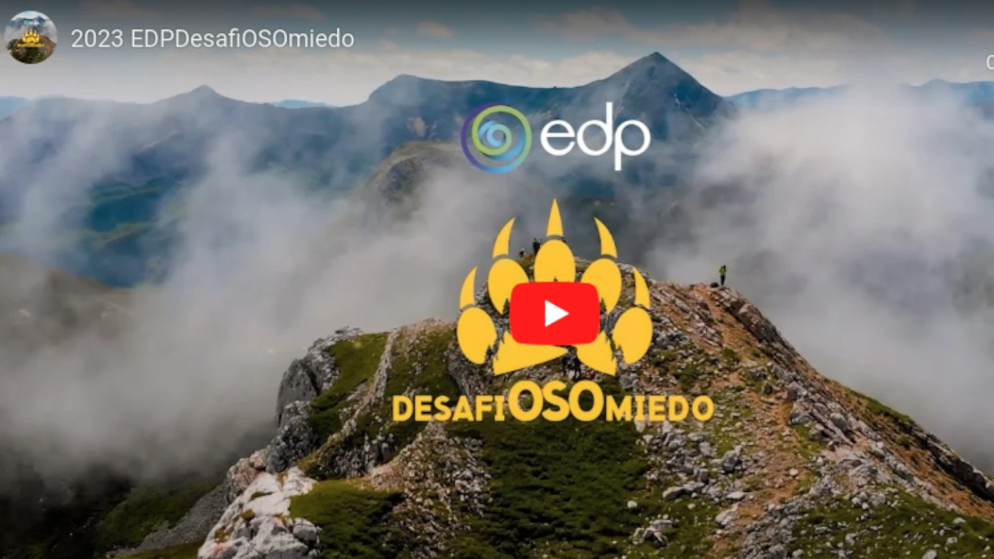 Video poster image